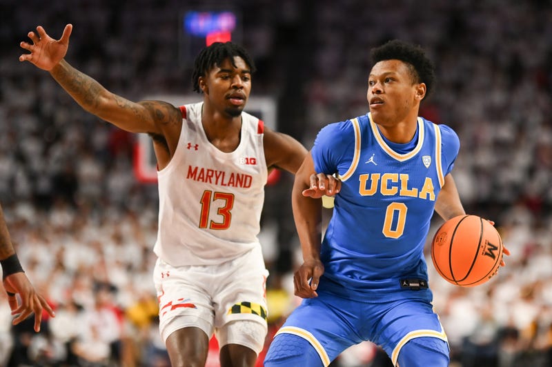 Maryland Terrapins