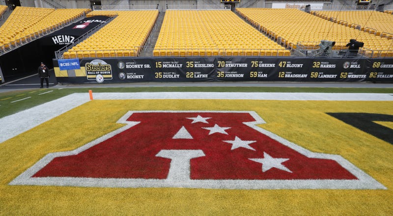 View of the AFC Conference logo in the end zone 