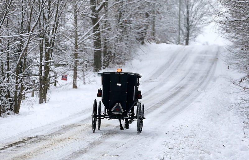 Two children are dead and one was seriously injured after a passenger vehicle struck an Amish buggy in Northern Michigan on Monday morning.