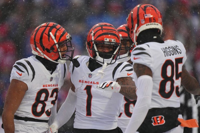 Bengals