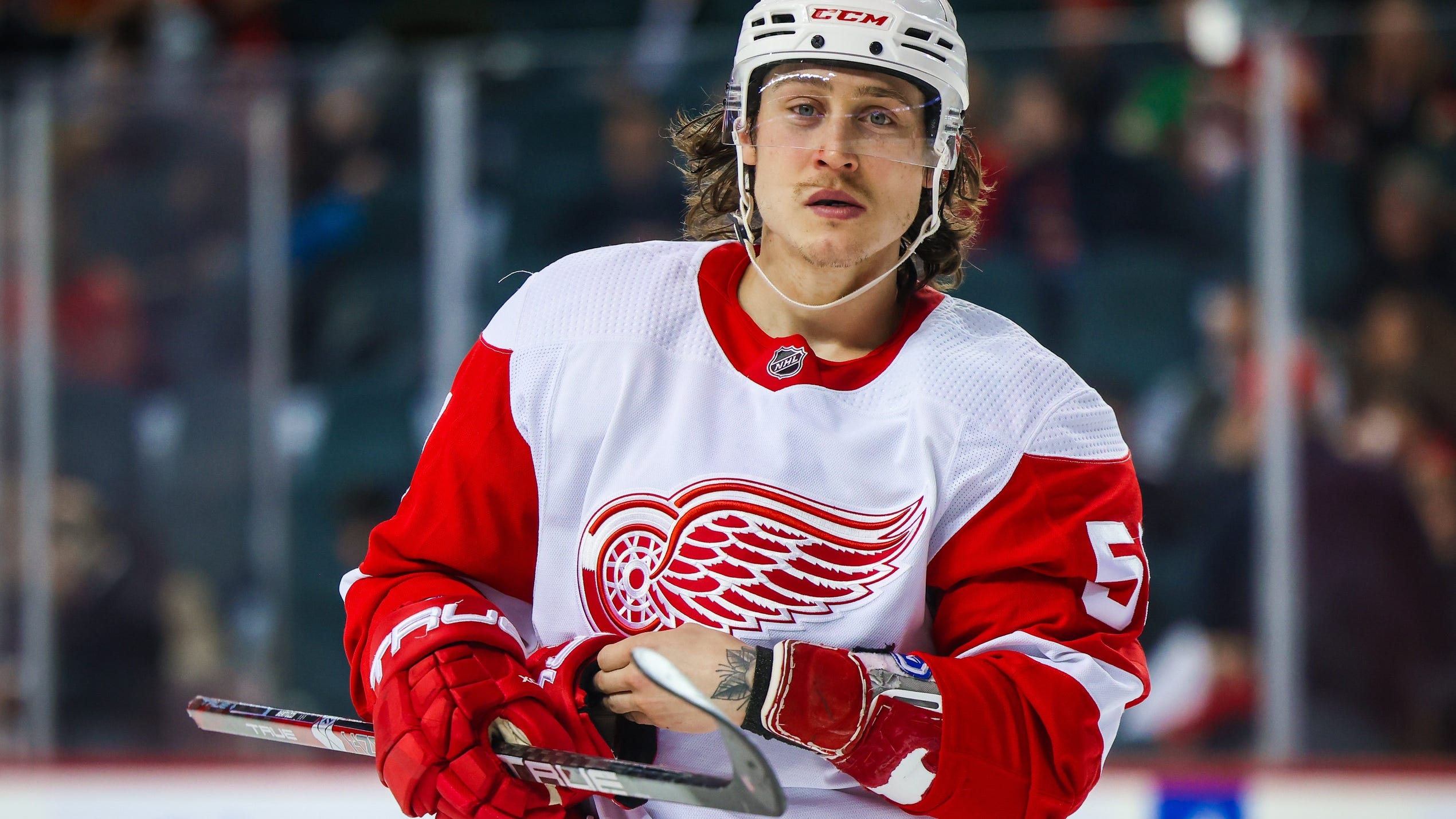 Bruins acquire Tyler Bertuzzi from Red Wings