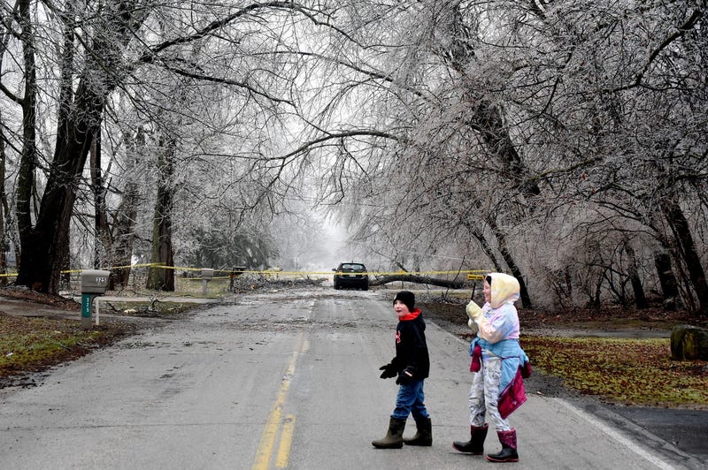 Emma O'Dell, 11, and her brother Zach, 9, in Frenchtown react to the large tree down to their parents over Hurd Rd near their home Thursday morning from the ice storm. The car trapped inside, as DTE placed yellow caution tape around a large area. A neighbor said the power went out around 7:30pm