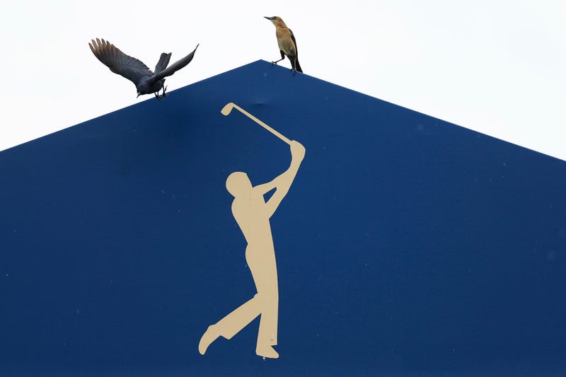 PGA Tour