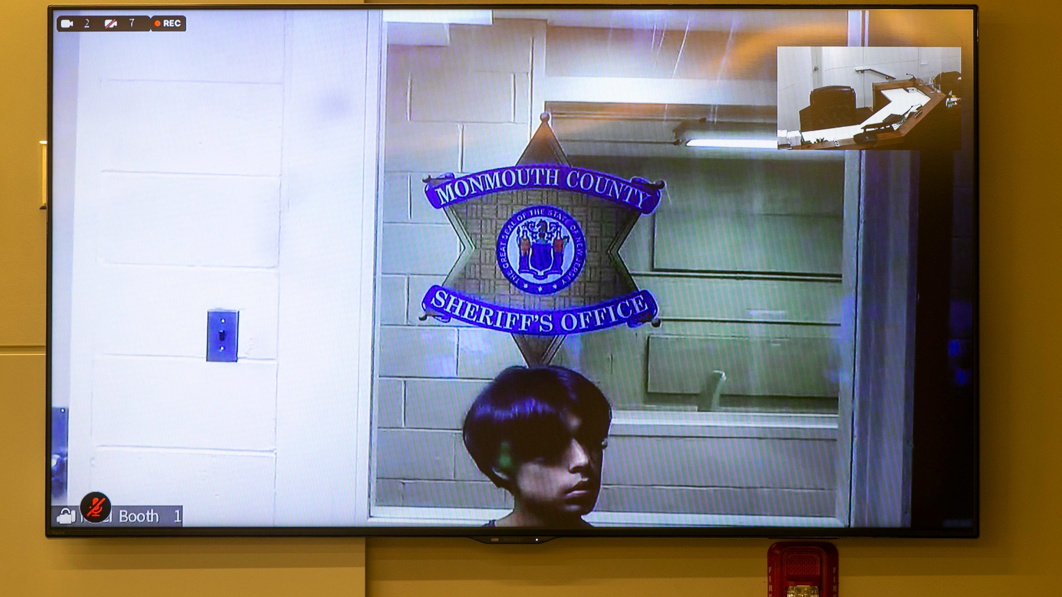 NJ man, 18, indicted for allegedly sexually abusing, killing his pet cat