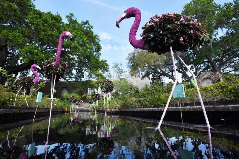 "The Flamingo Felons" Are Arrested In Pink Flamingo Case