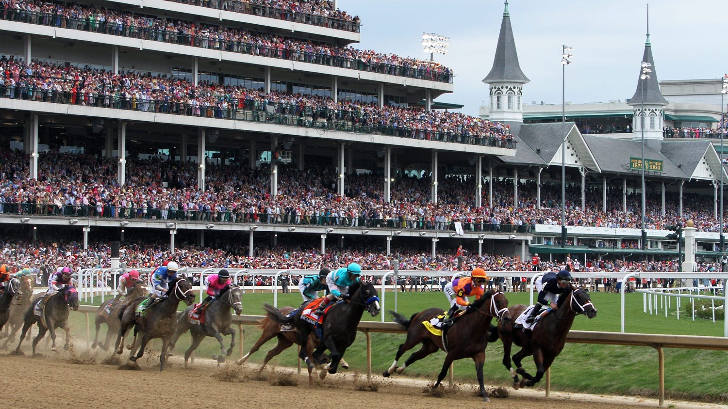 Why did so many Kentucky Derby horses die this year?