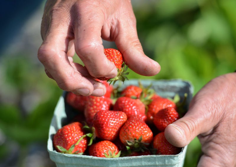 Strawberries
