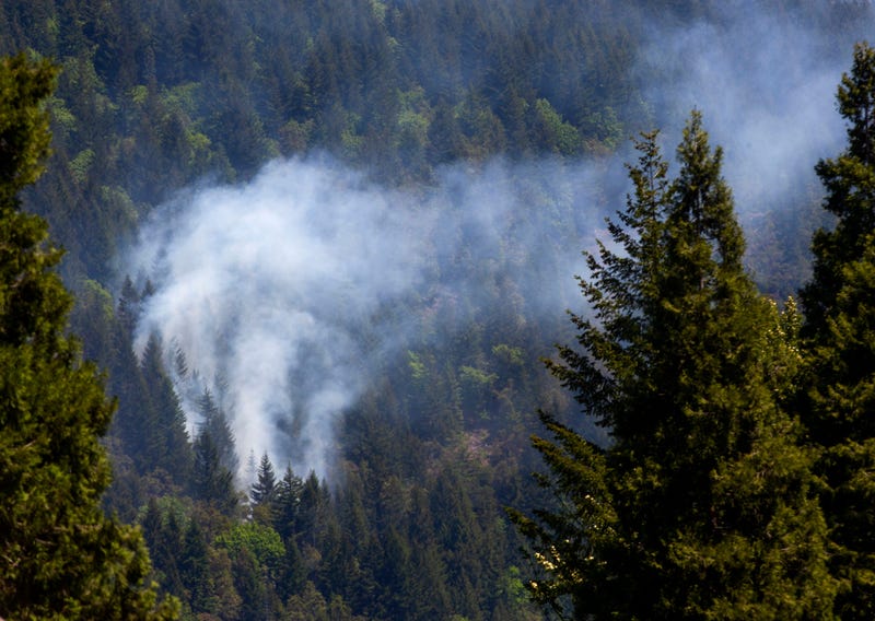 wildfire