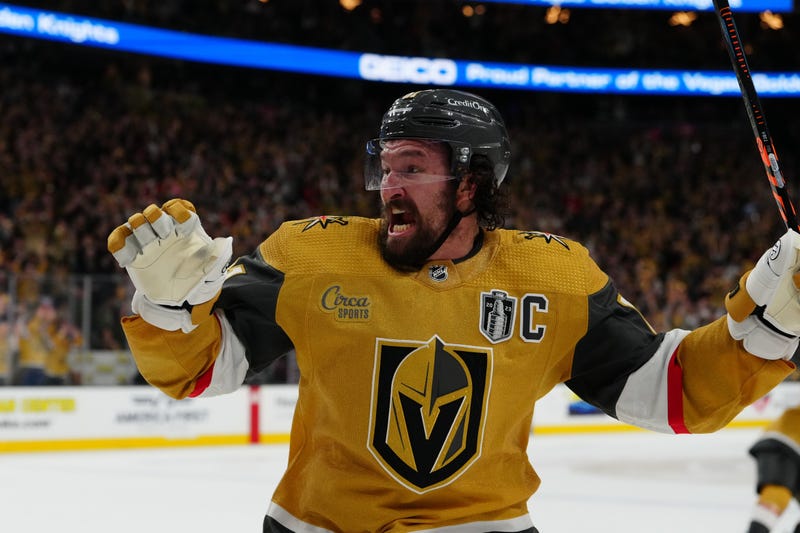 Reilly Smith celebrating goal