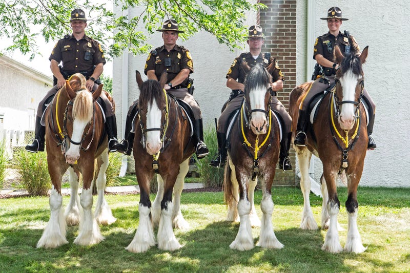 Two Cleveland Police Horses Break Free On The Shoreway