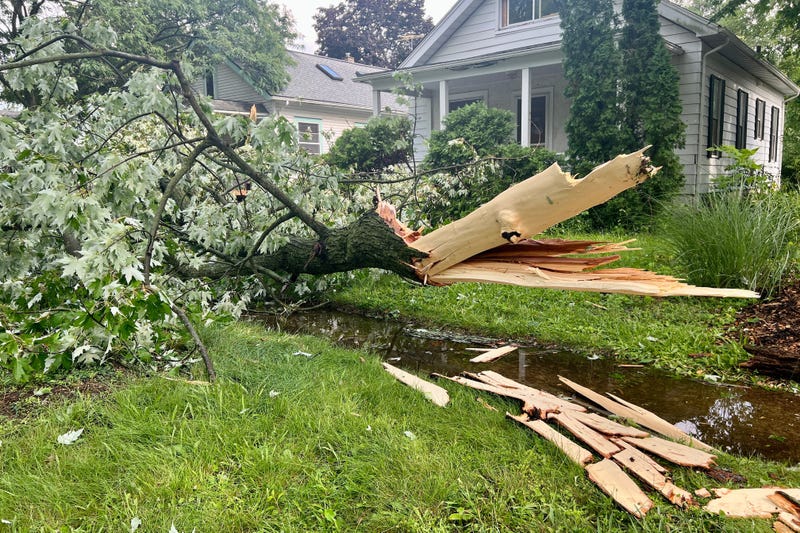 Residents in Southeast Michigan are waking up to no power, scattered debris, flooded roadways and hail damage from Thursday's fast-moving, but hard-hitting storms.