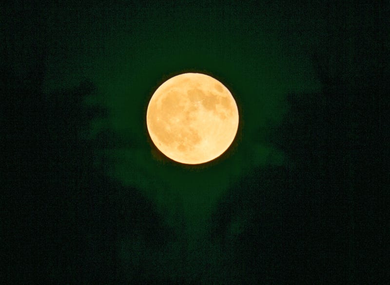 Fall stargazers will be treated to a very special sight overnight Thursday into Friday as the last supermoon of the year is set to shine.