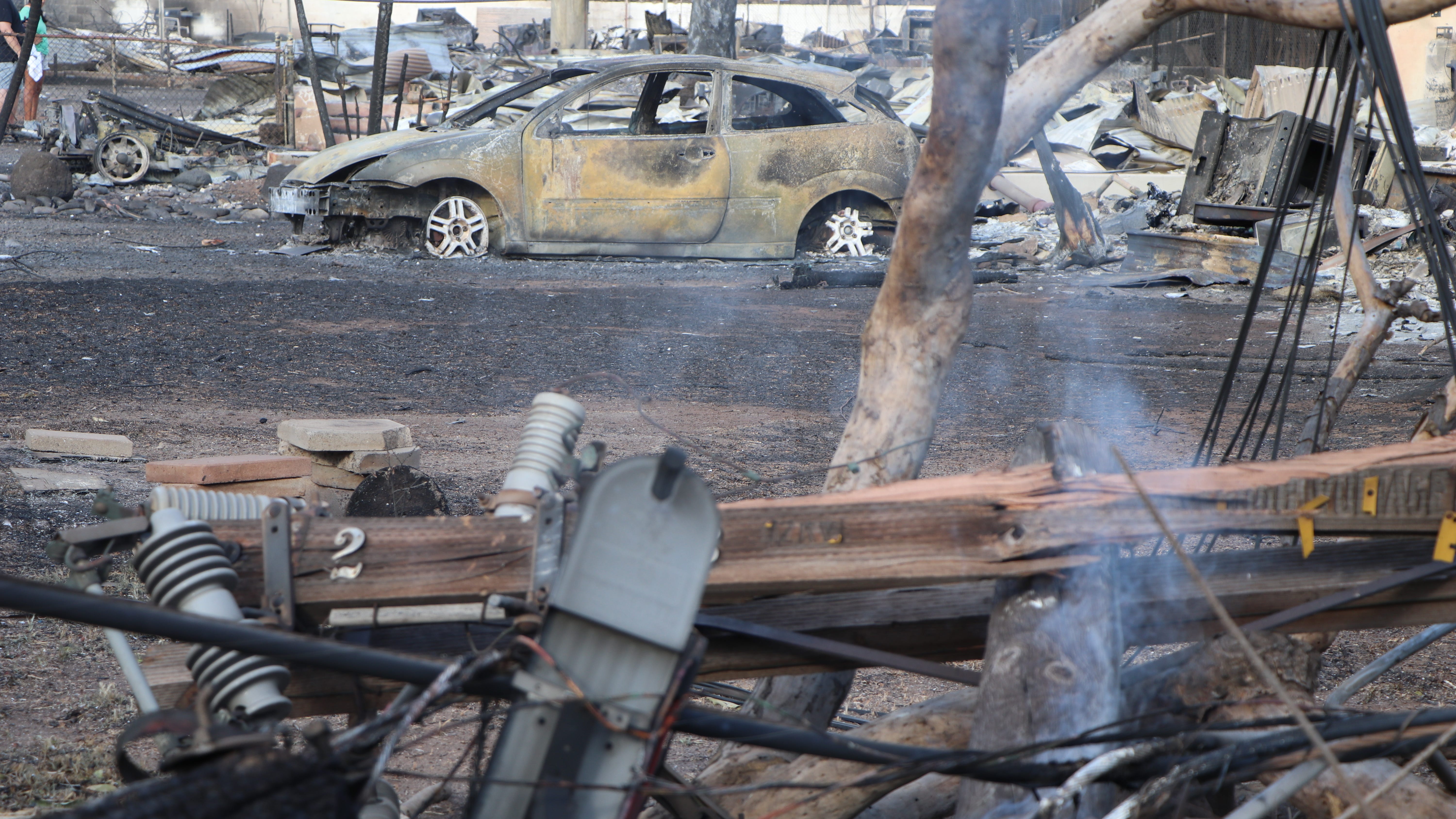 Devastation continues in Hawaii in aftermath of deadly wildfires: How to help