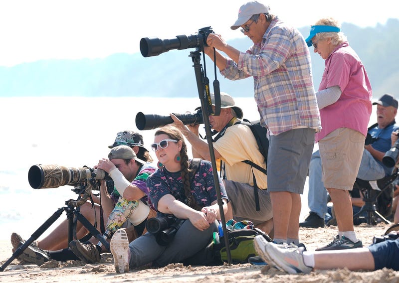 Wisconsin residents gathered in droves at a Lake Michigan beach after a flock of flamingos appeared wading in the fresh water on Friday.