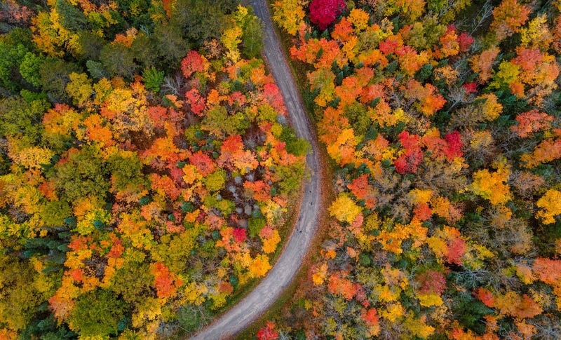 It'll Finally Fell Like Fall This Weekend In NE Ohio