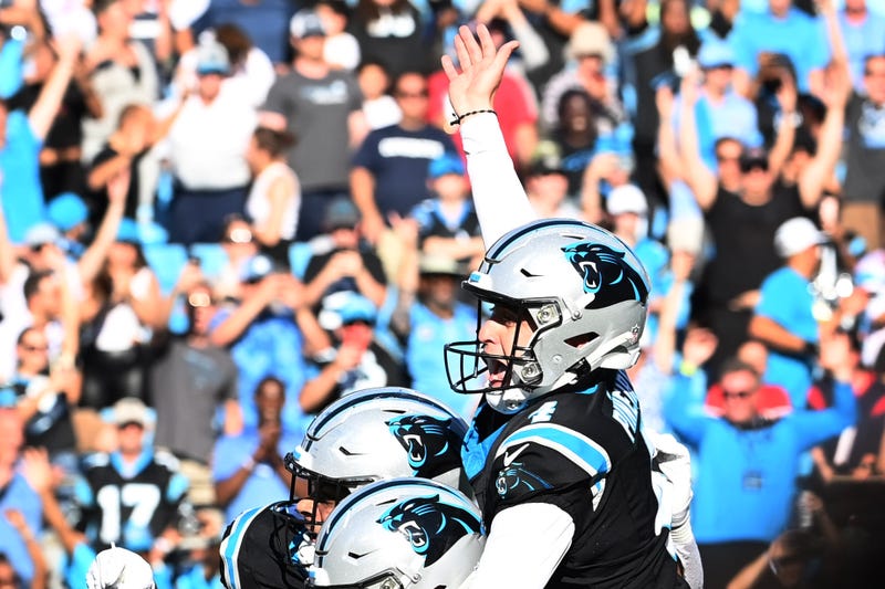 Panthers