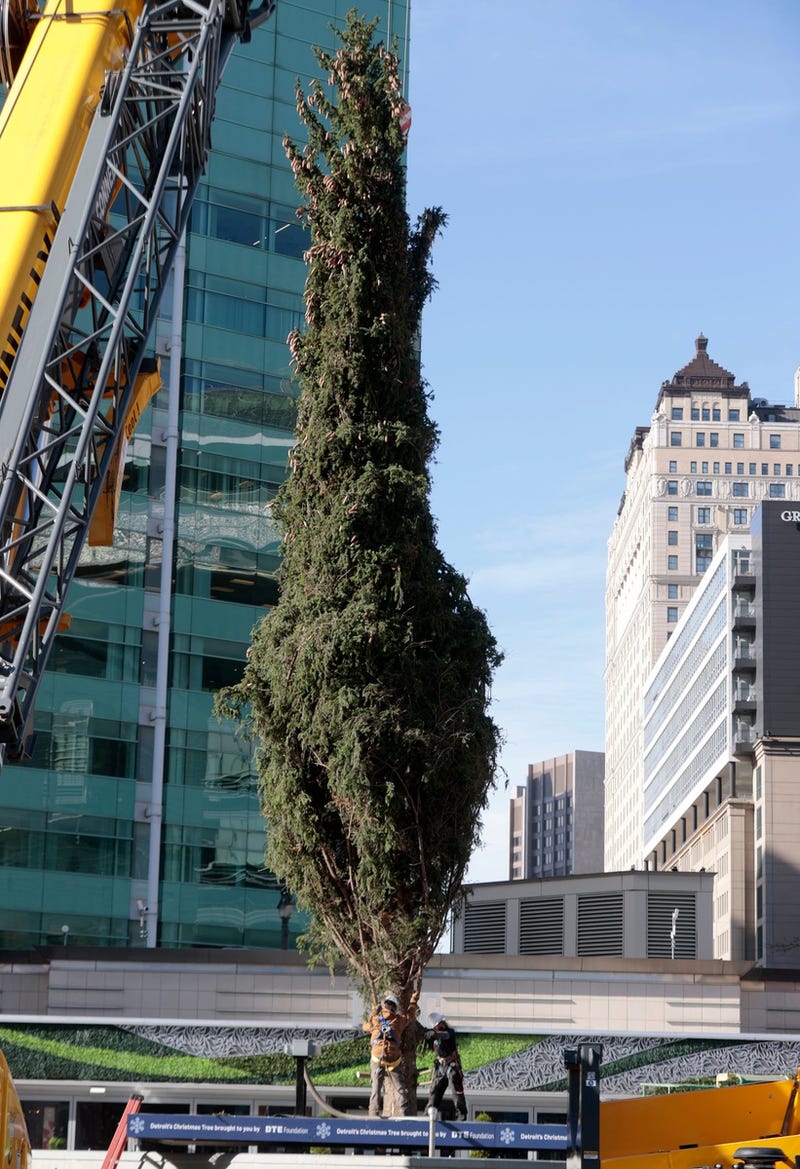 Detroit Christmas tree