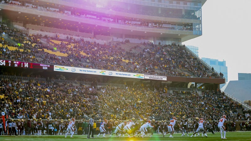 Gophers
