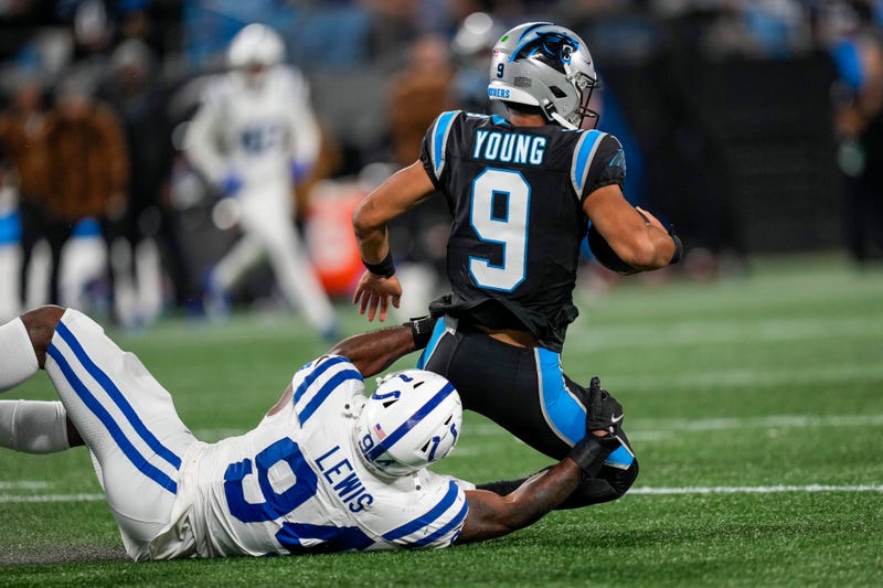 Panthers