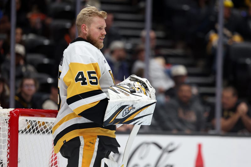 Magnus Hellberg in net