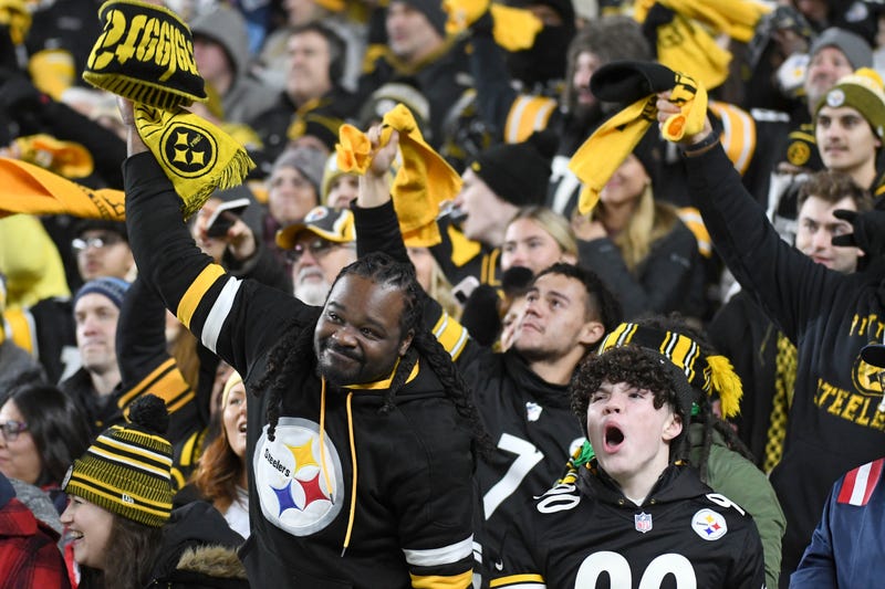  Pittsburgh Steelers fans cheer on the home team in a game against the New England Patriots 