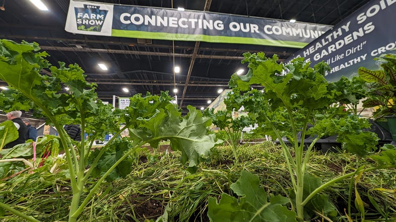 A showcase of raised gardens at the 2024 Pennsylvania Farm Show.