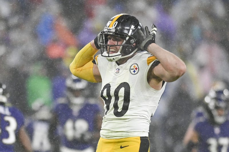 TJ Watt celebrating