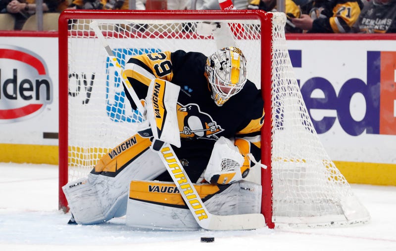 Alex Nedeljkovic in net