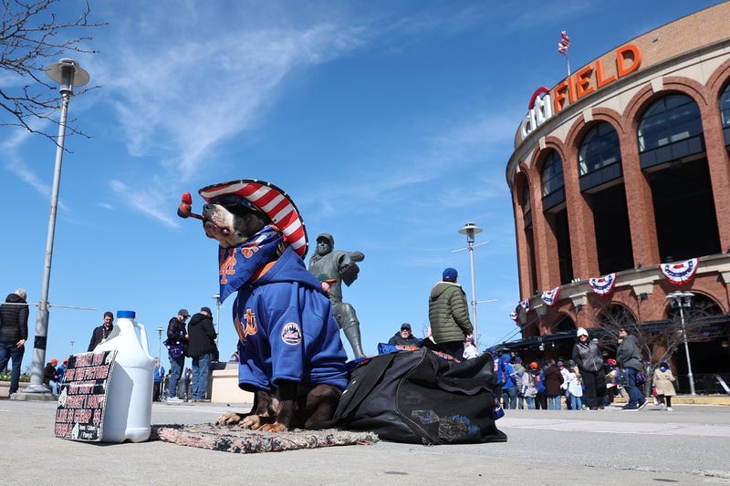 A dog dressed in New York Mets apparel sits in front of Citi Field before the opening day game between the New York Mets and the Milwaukee Brewers