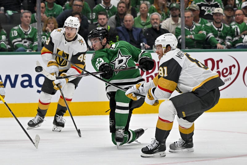 Dallas Stars