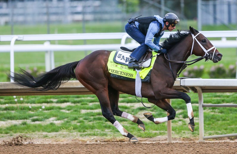 Kentucky Derby contender Fierceness
