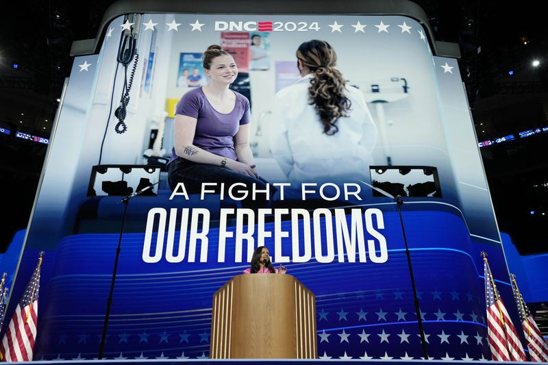 Alexis McGill Johnson, president and CEO of Planned Parenthood speaks during the third day of the Democratic National Convention at the United Center in August.