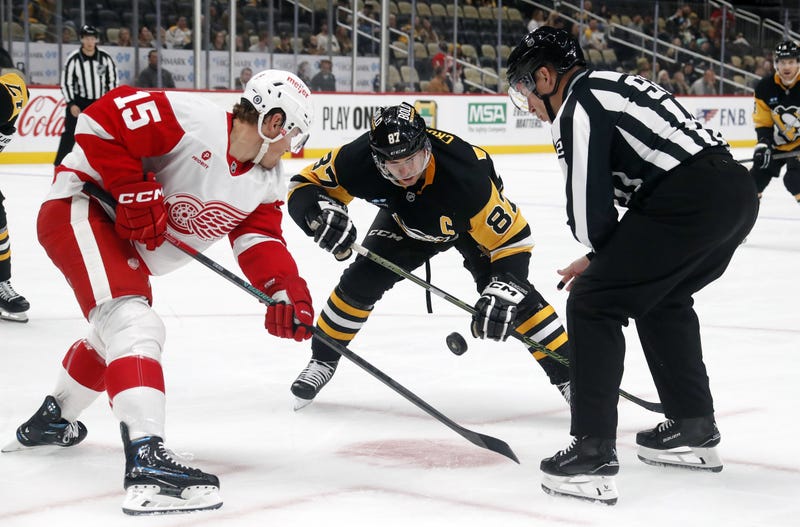 etroit Red Wings center Sheldon Dries (15) and Pittsburgh Penguins center Sidney Crosby (87) 