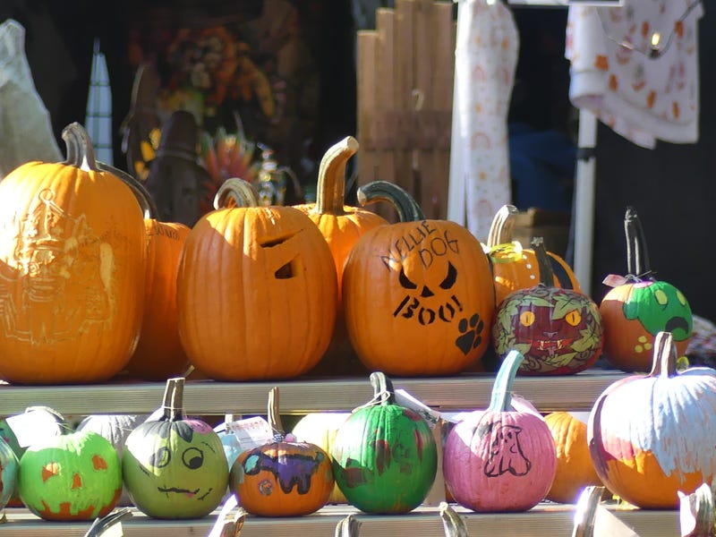 Pumpkins at a fall festival
