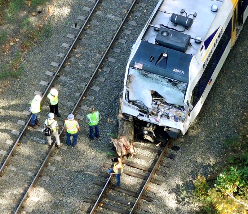 The operator of a New Jersey Transit River Line train was killed when the train hit a downed tree in Mansfield Township on Oct. 14, 2024. The incident also left 23 passengers injured.