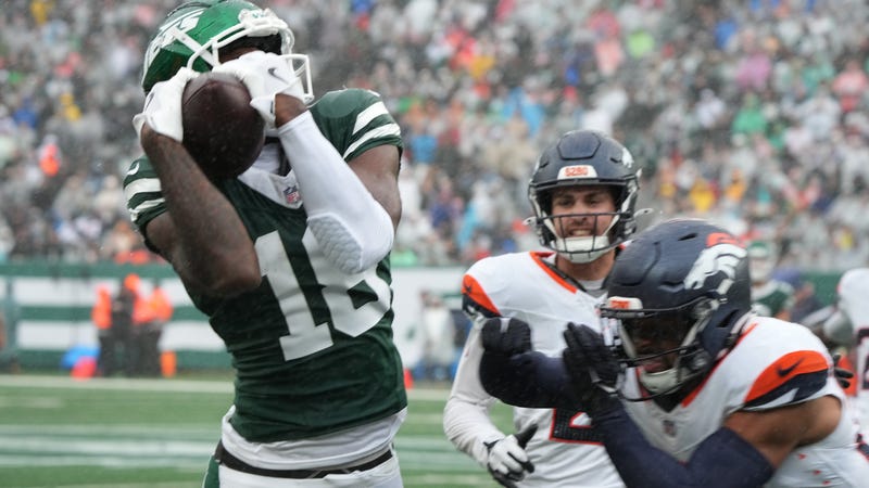 Mike Williams catch with Jets