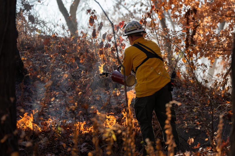 A fire lit by members of the New Jersey Forest Fire Service burns alongside Palisades Interstate Parkway in Englewood Cliffs on Friday, Nov. 8, 2024.