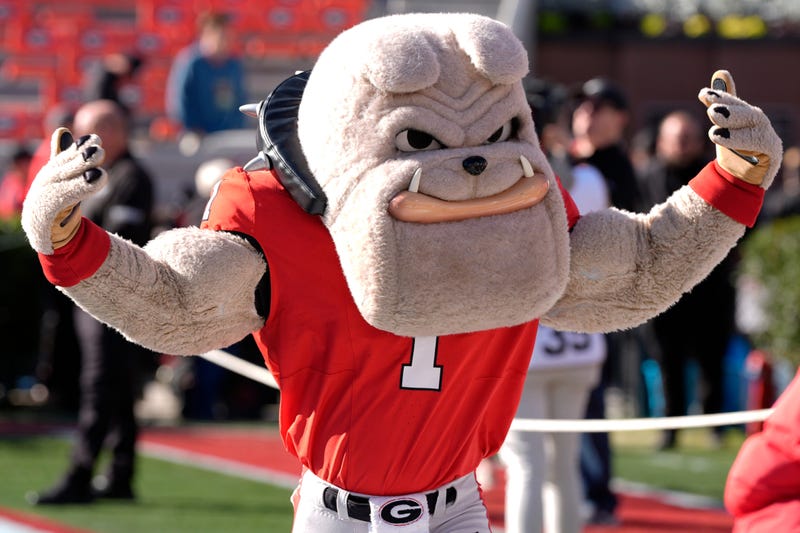 Georgia mascot Hairy Dawg arrives before the start of a NCAA college football game against Massachusetts in Athens, Ga., on Saturday, Nov. 23, 2024.