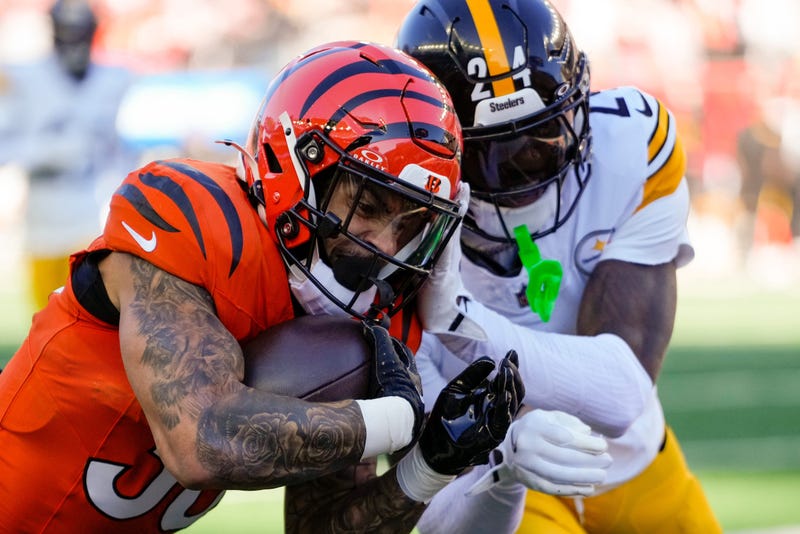 Joey Porter against the Bengals