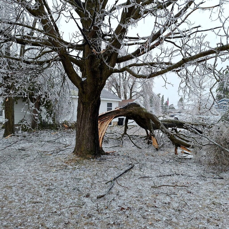 Northern Michigan ice storm damage
