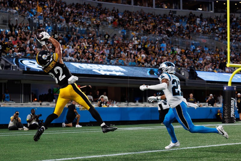 Lance McCutcheon TD catch for Steelers