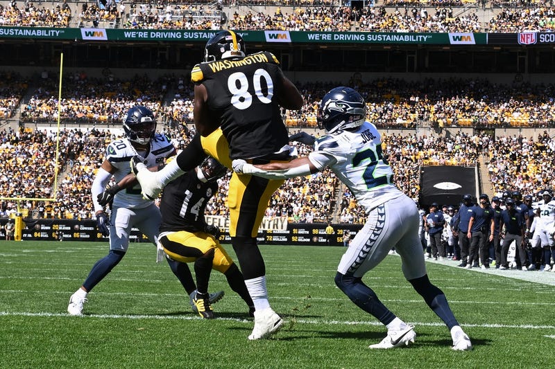 Darnell Washington catch