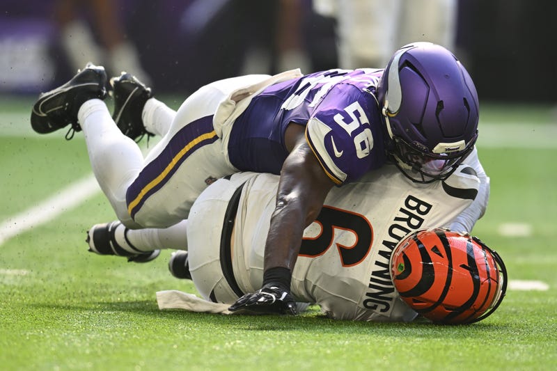 Cincinnati Bengals quarterback Jake Browning (6) feels the crush of the Vikings defense after getting sacked by linebacker Austin Keys (56) during the second half of the Vikes dominant 48-10 win at U.S. Bank Stadium.