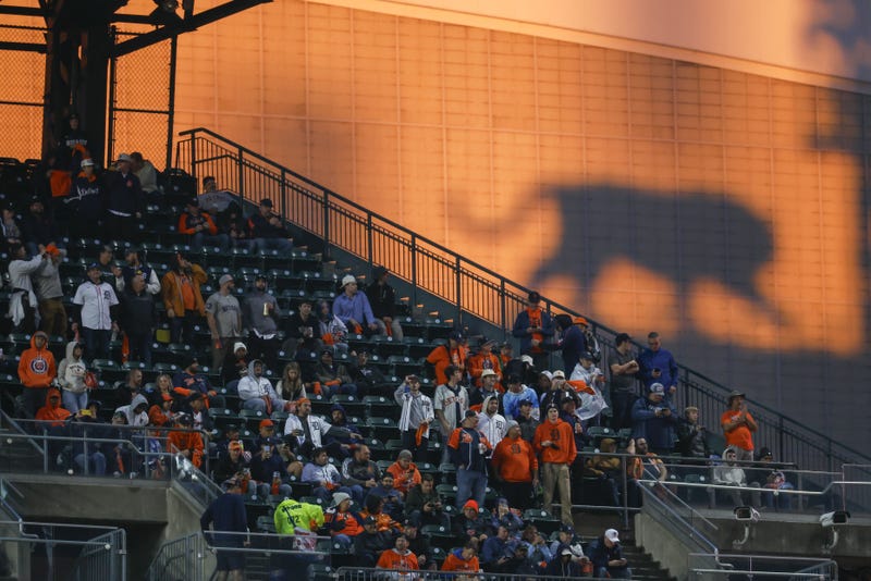 Detroit Tigers