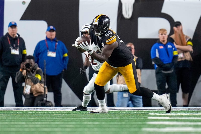 Darnell Washington catch vs Bengals