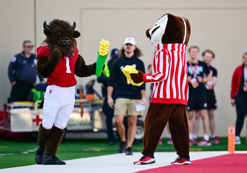 Nov 15, 2025; Bloomington, Indiana, USA; The Indiana Hoosiers Bison compares his corn to the cheese of the Wisconsin Badgers Badger during the second half at Memorial Stadium. Mandatory Credit: Marc Lebryk-Imagn Images