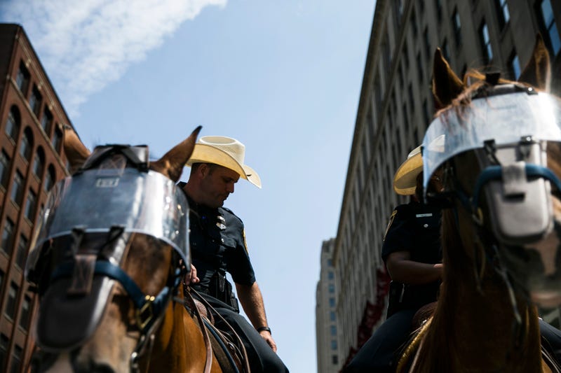 Investigation Reveals Why 2 CLE Police Horses Broke Free