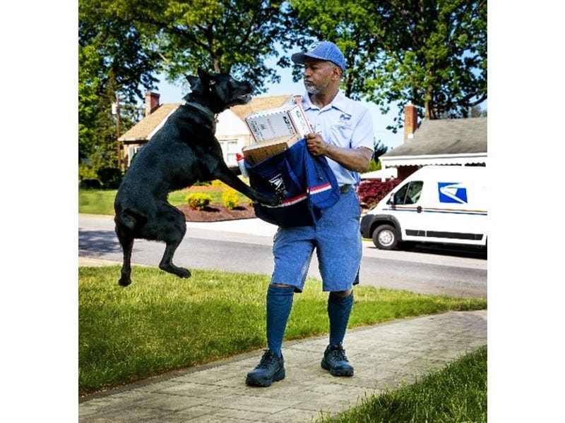 Dog jumping in front of letter carrier
