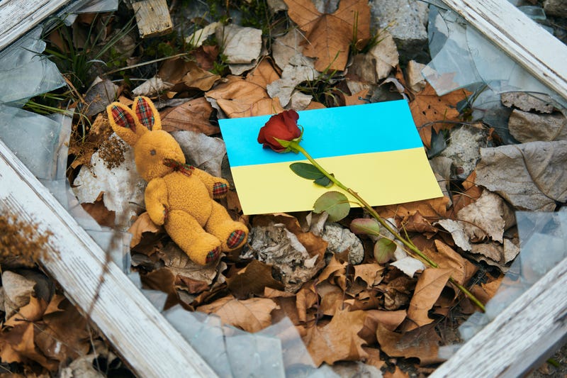 Ukraine War