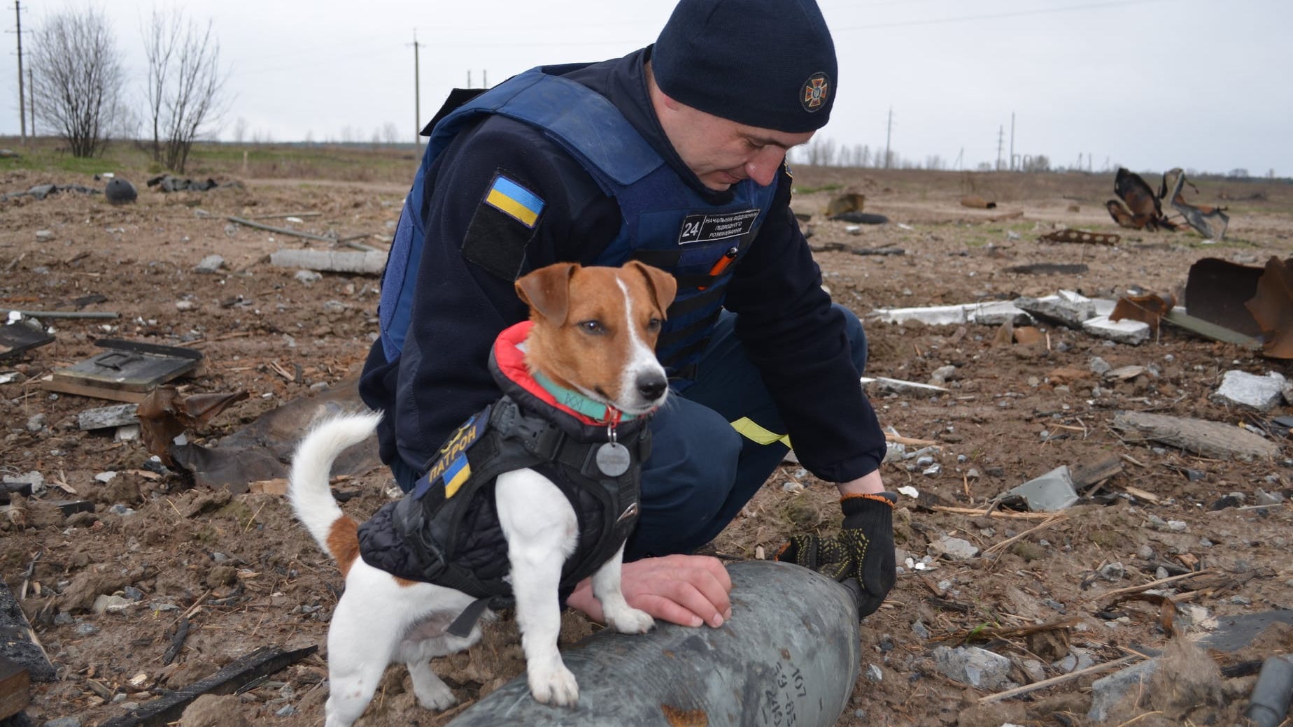 This Jack Russell terrier is saving lives every day in Ukraine
